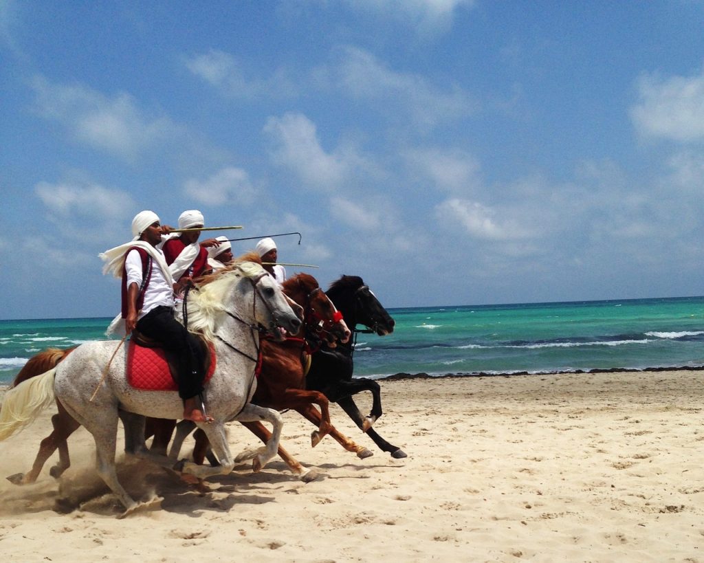 Tunisia Djerba Horses Sea Ocean 